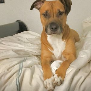 Meet your Posher, Valeria